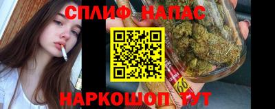 СК Нальчик