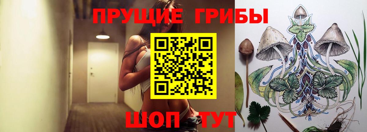 Псилоцибиновые грибы Psilocybe  Вход с VPN  Тверь 